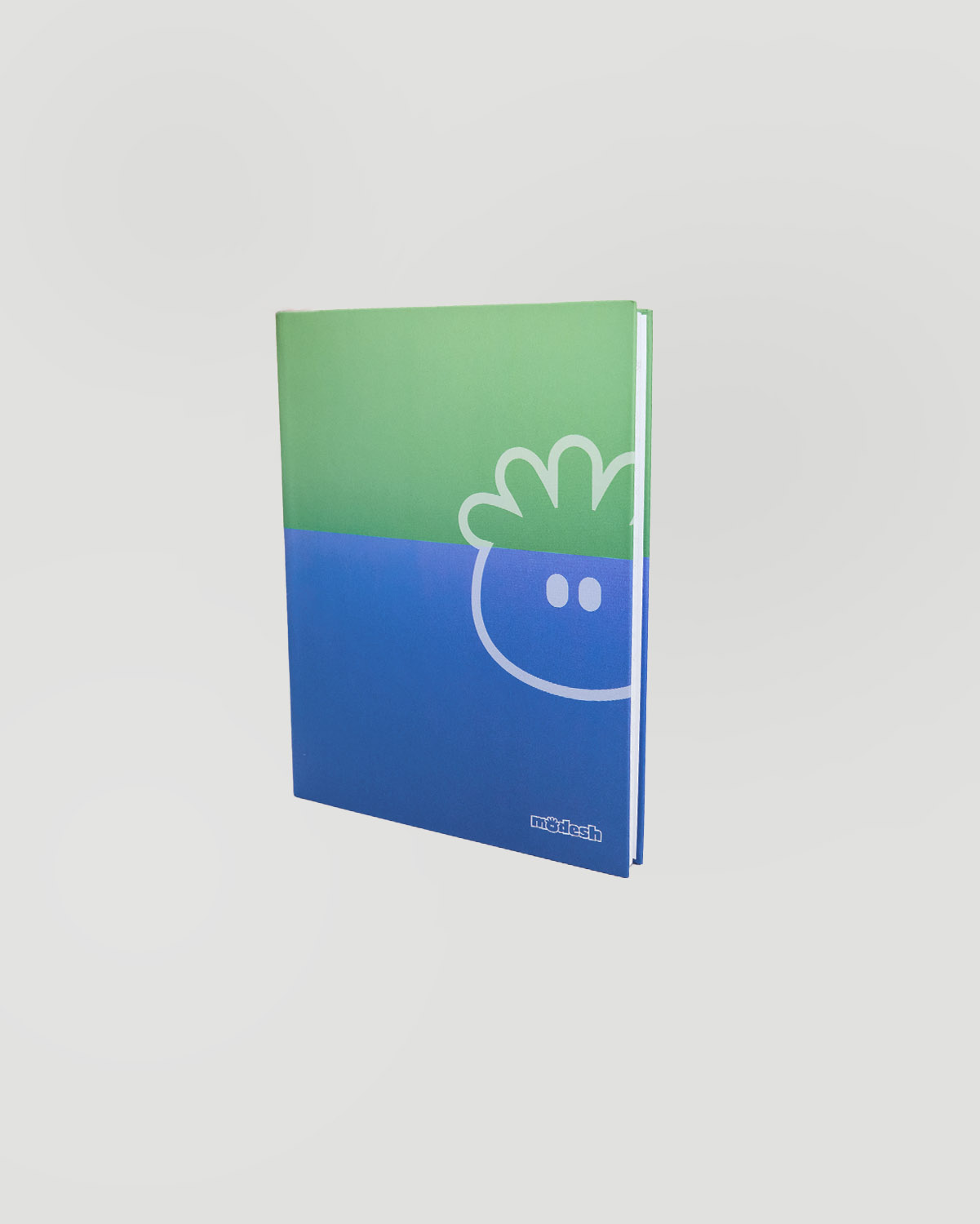 Note Book - Green/Blue image number 3